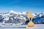 herrrliches Winterpanorama Kitzbühel
