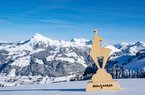 herrrliches Winterpanorama Kitzbühel