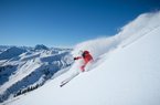 Powdern im Skiparadies Kitzbühel 